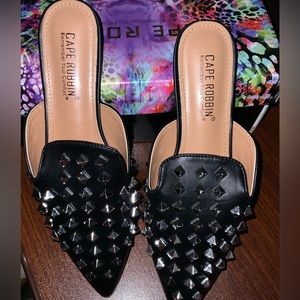 Cape Robbin Envy Flat Slip on pointed shoe..  ( New without Tags )